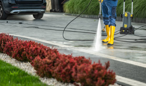 Best Affordable Pressure Washing  in Ames Lake, WA