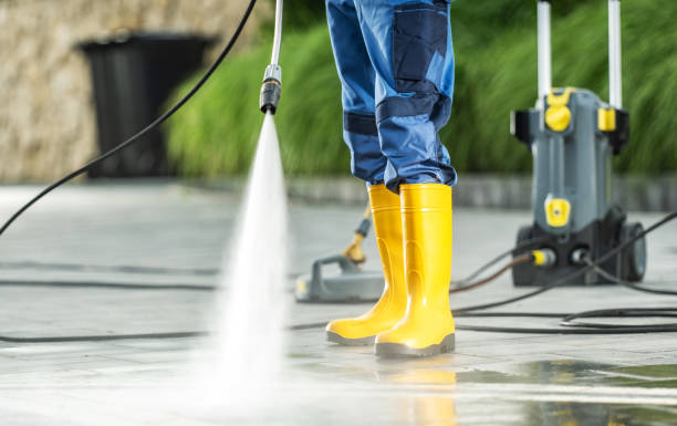 Best Roof Power Washing Services  in Ames Lake, WA