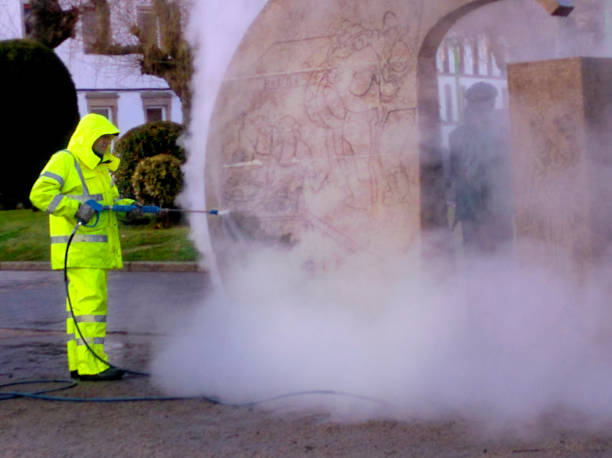 Best Pressure Washing Near Me  in Ames Lake, WA